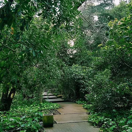 Legendary Aparthotel